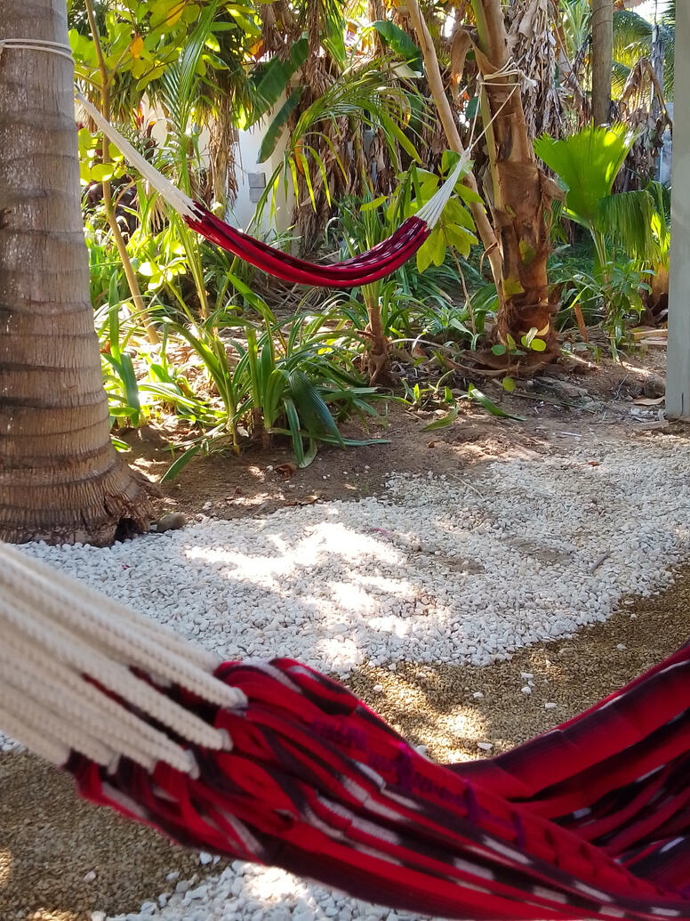 Hammocks Hammocks
