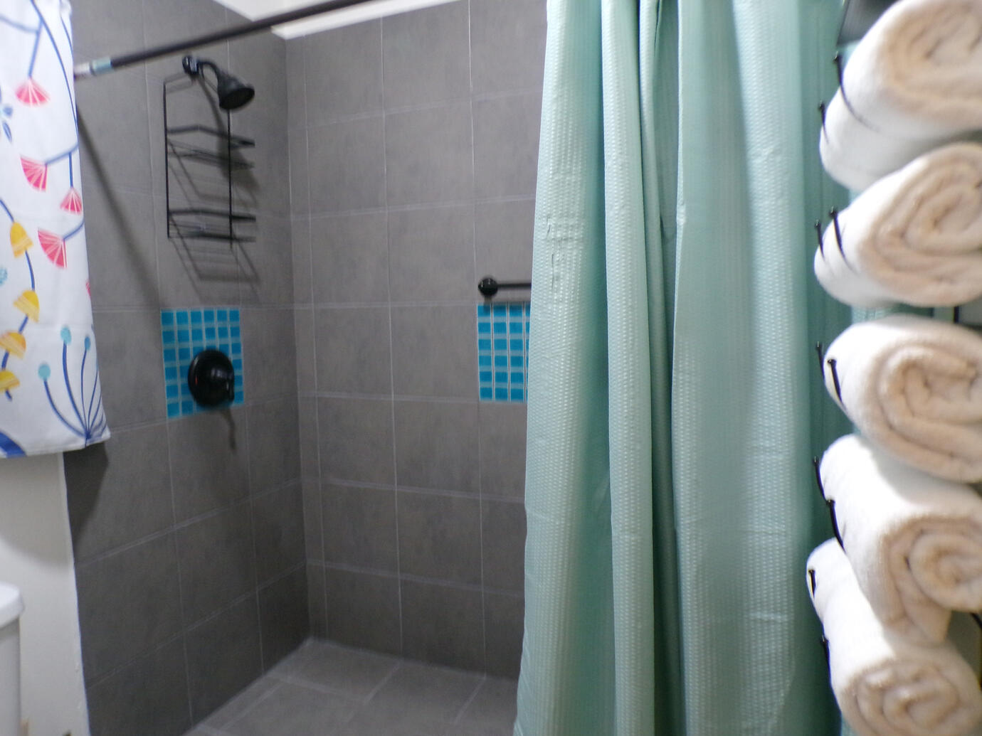 Walk-In Shower Walk-In Shower