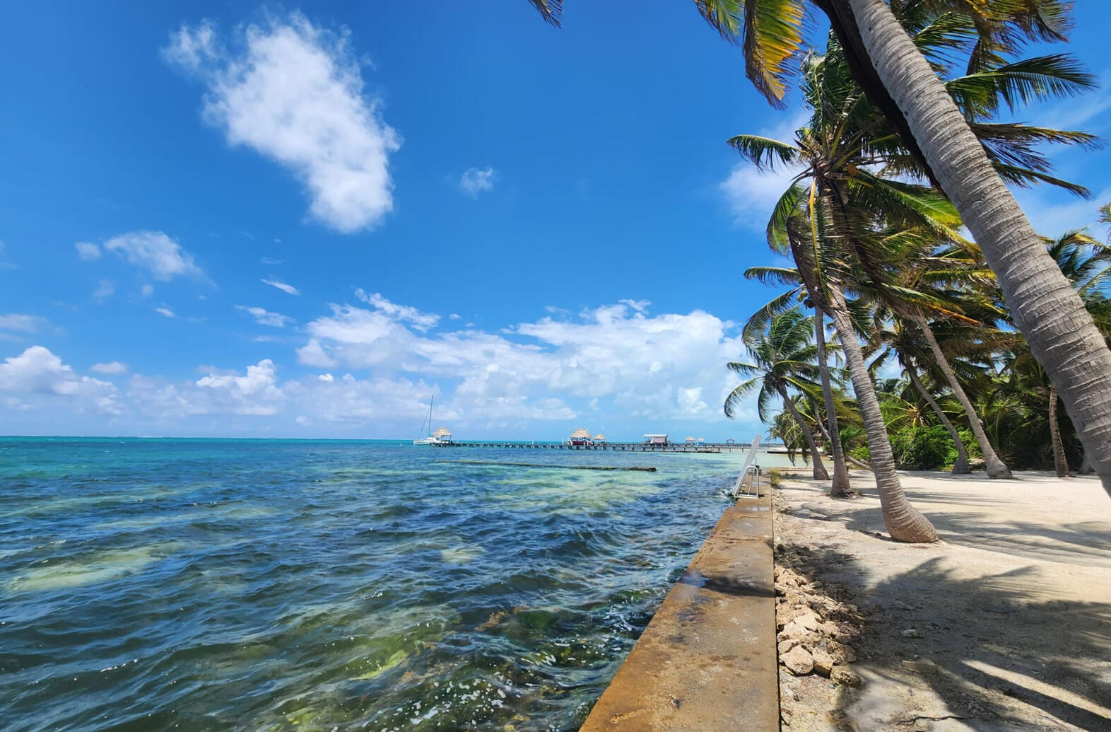 Sea Wall & Dive Tours