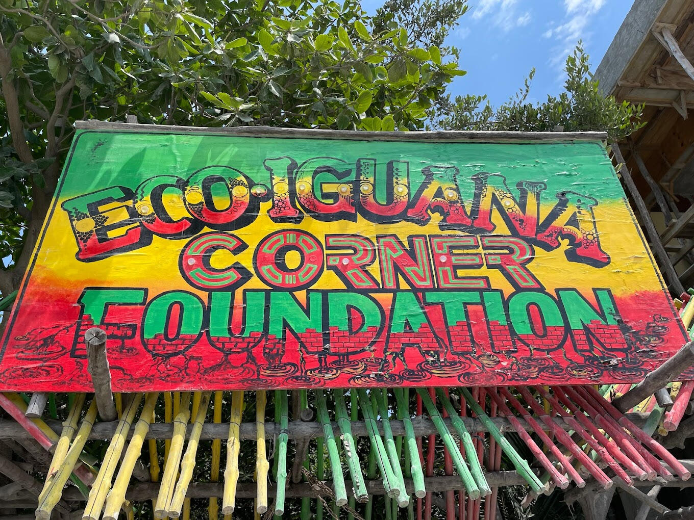 Iguana Sanctuary