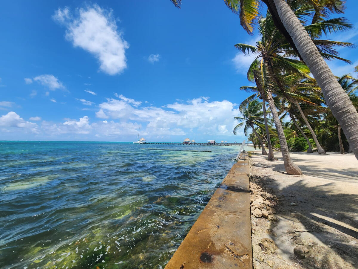 Ambergris Caye Sea Wall